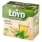 LOYD Tea pyramida Máta se zázvorem 20 x 2 g