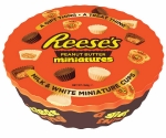 Reese's Peanut Butter Miniatures Variety Box 345 g