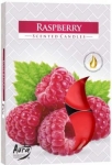Aura svíčka čajová Raspberry 6 ks