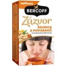 Bercoff Klember Zázvor se skořicí a pomerančem 16 x 2.25 g