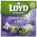 Loyd Tea pyramida Černý rybíz a bez 20 x 2 g