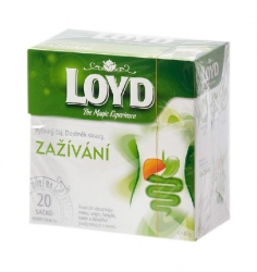 Loyd Tea Pyramida Zažívání bylinný čaj 20 x 2 g