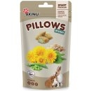 Akinu Pillows polštářky bylinky Hlodavec 40 g